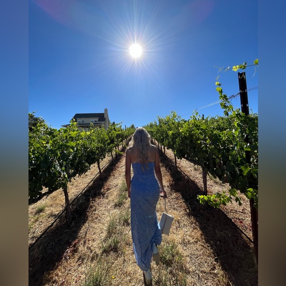 Zara Blue and White Dreamy Dress - Picture 3 of 7